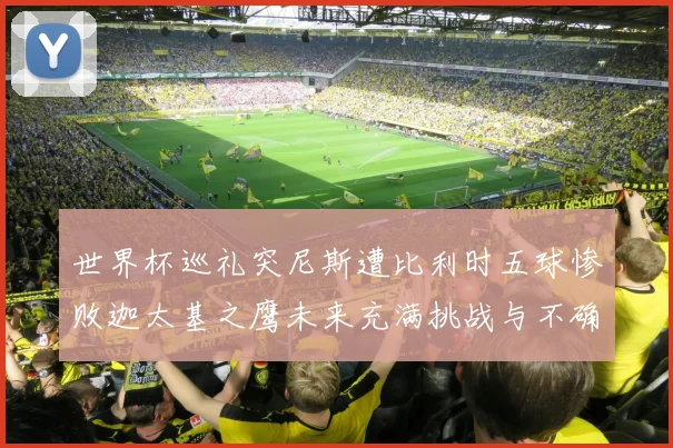 世界杯巡礼突尼斯遭比利时五球惨败迦太基之鹰未来充满挑战与不确定性